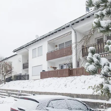 Lägenhet Welcome In - 'patrice' Mit Balkon Und Abstellraum Winterberg
